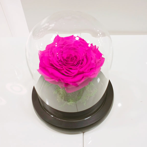 Pink Infinity Roses Infinity Rose – BetterFlowers.ae